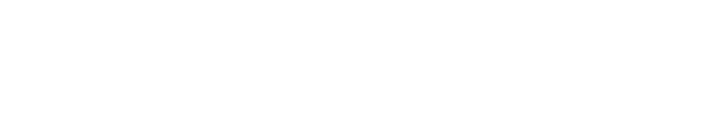 IEEE CASE 2024